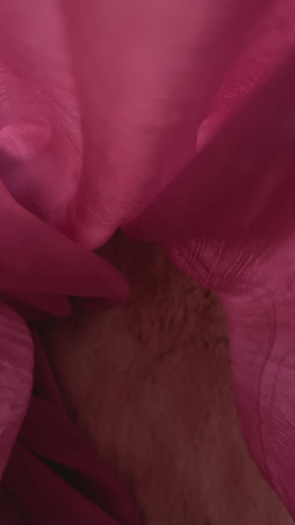 Candy Floss Pink Shine | Muna Satin Hijab - Elegance Redefined | 180*75 Size